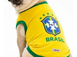 roupa_pet_selecao_brasil_time_copa_do_mundo_para_gato_e_cachorro_63_1_fa7880dbfd6586ff3b5f0ec1a918a986